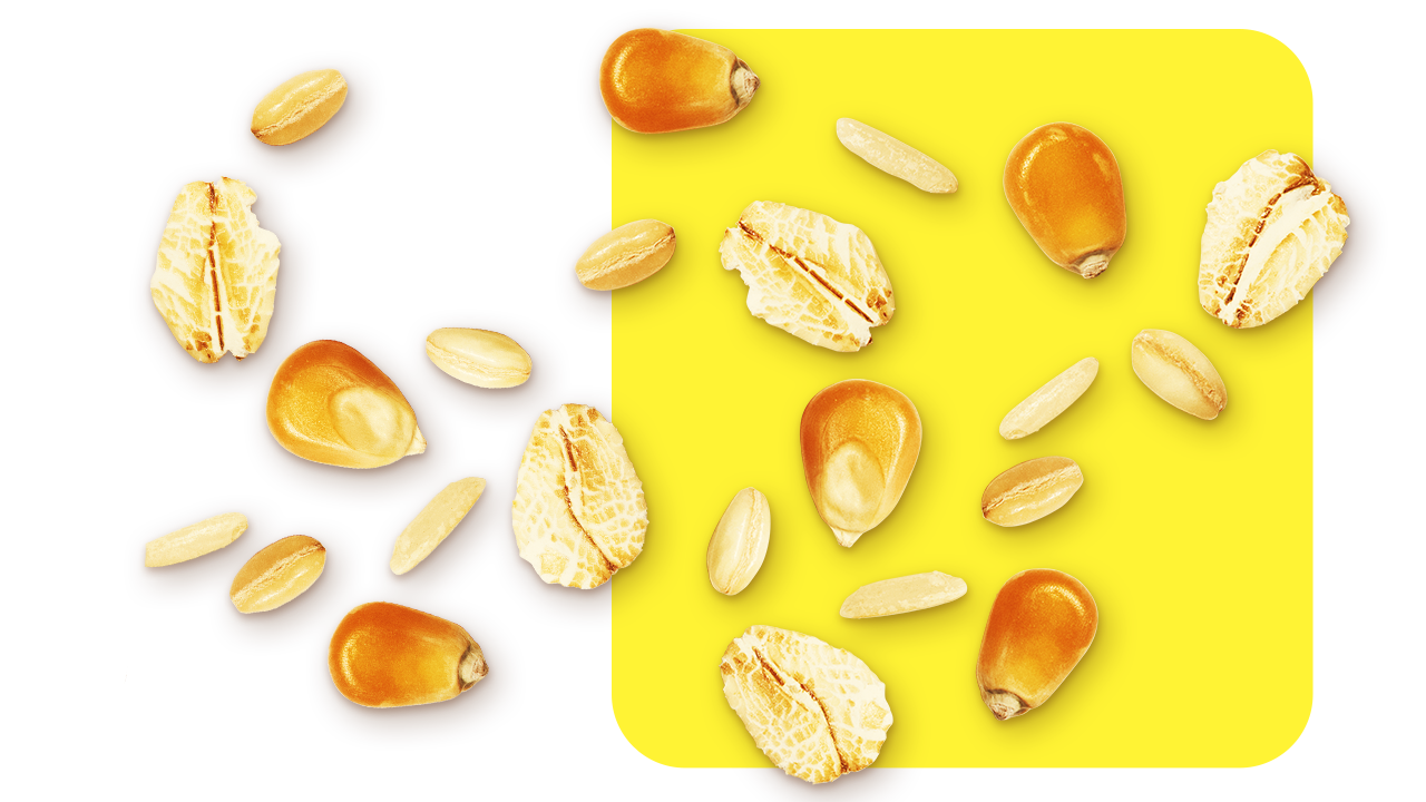 wholegrains